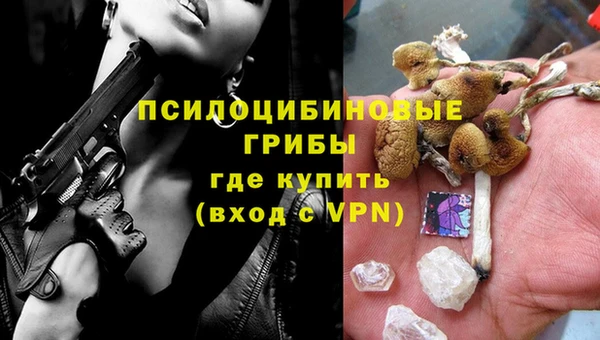 прущий лед Алексин