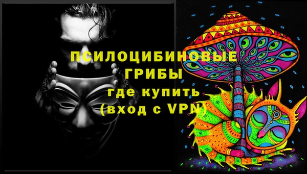 хмурый Алексеевка